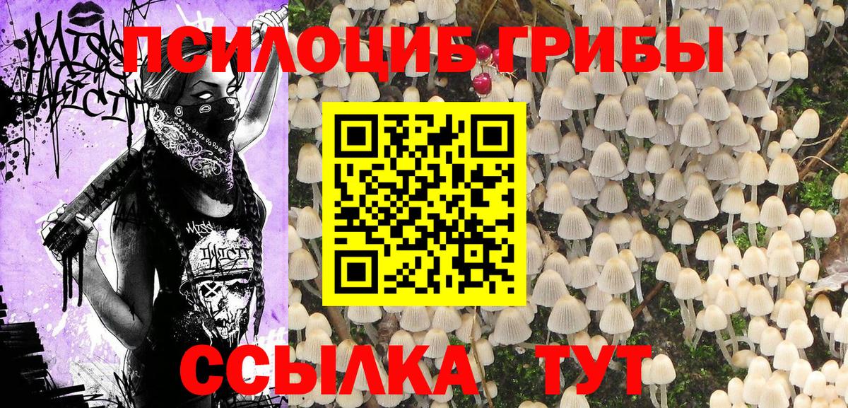 Кузнецк  Псилоцибиновые грибы GOLDEN TEACHER  Вход с VPN 